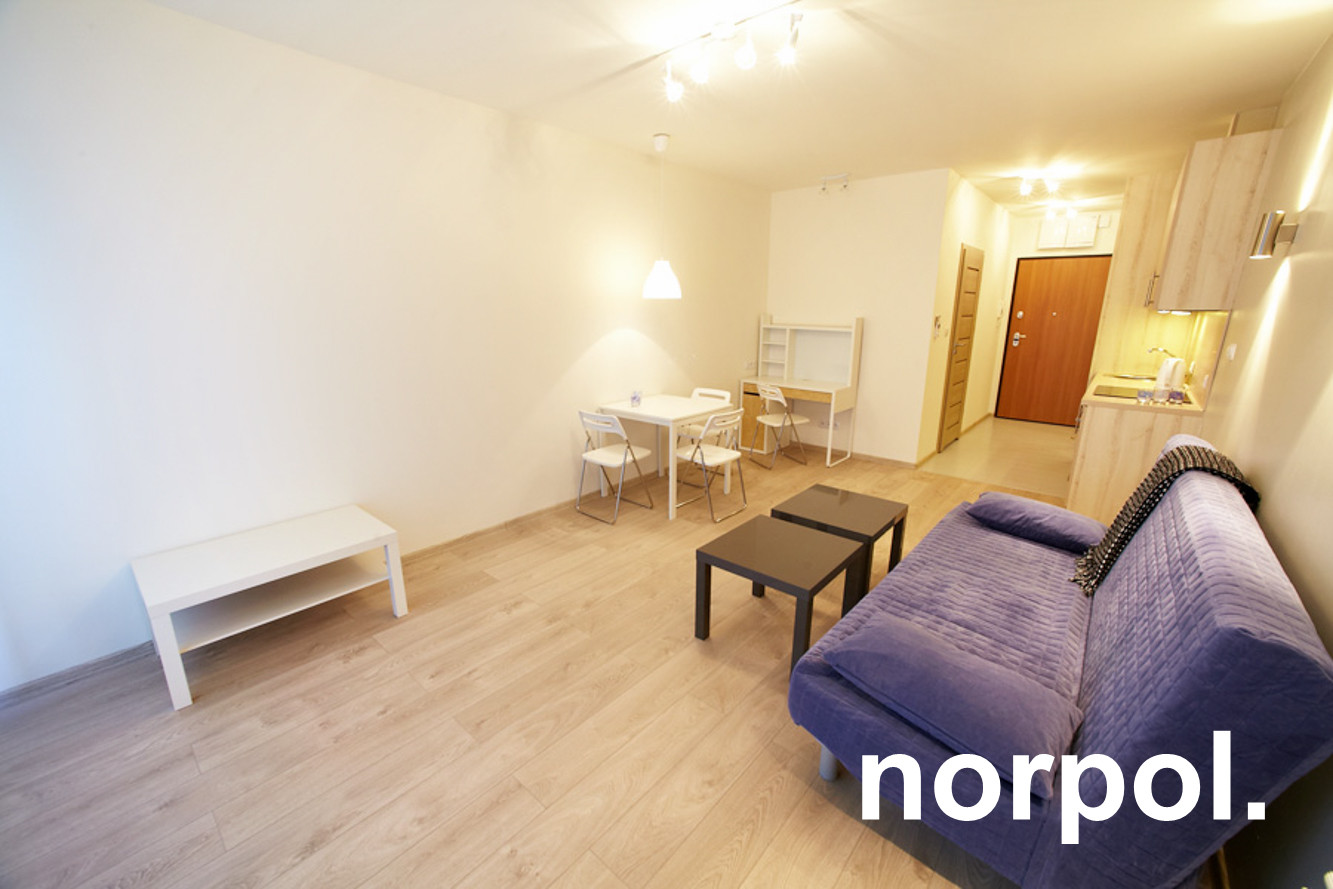 Apartment in Wrocław, Trójkąt, Krzyki - Widok 4