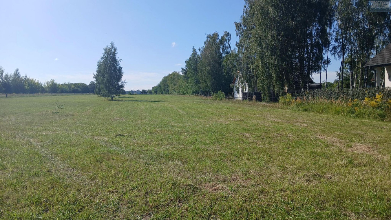 gratka-1287 - Widok 4