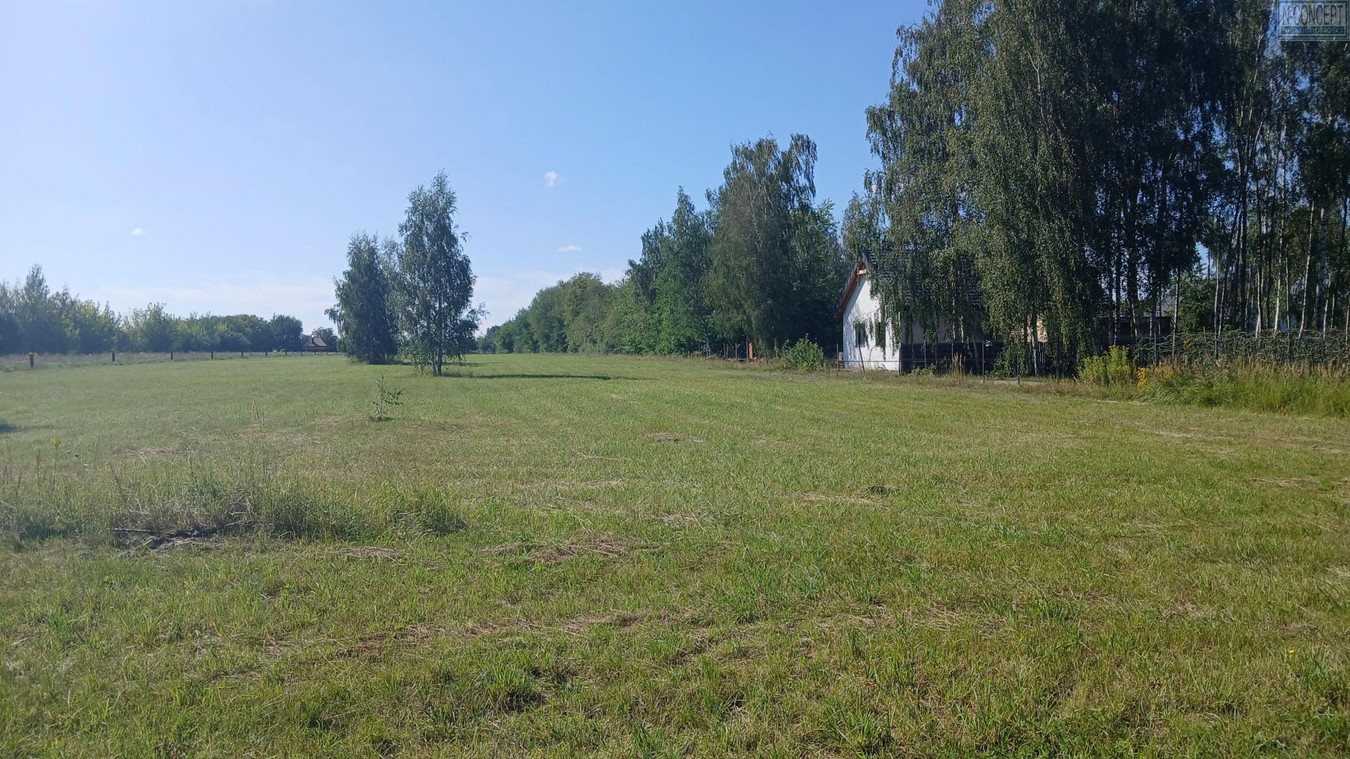 gratka-1287 - Widok 3