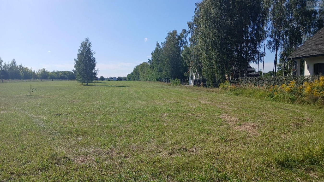 gratka-1288 - Widok 4