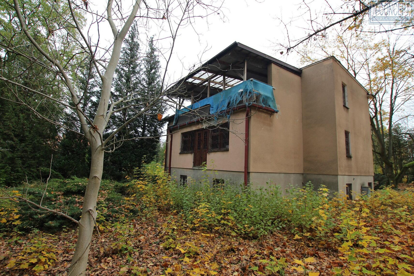 Dom – Podkowa Leśna - Widok 2