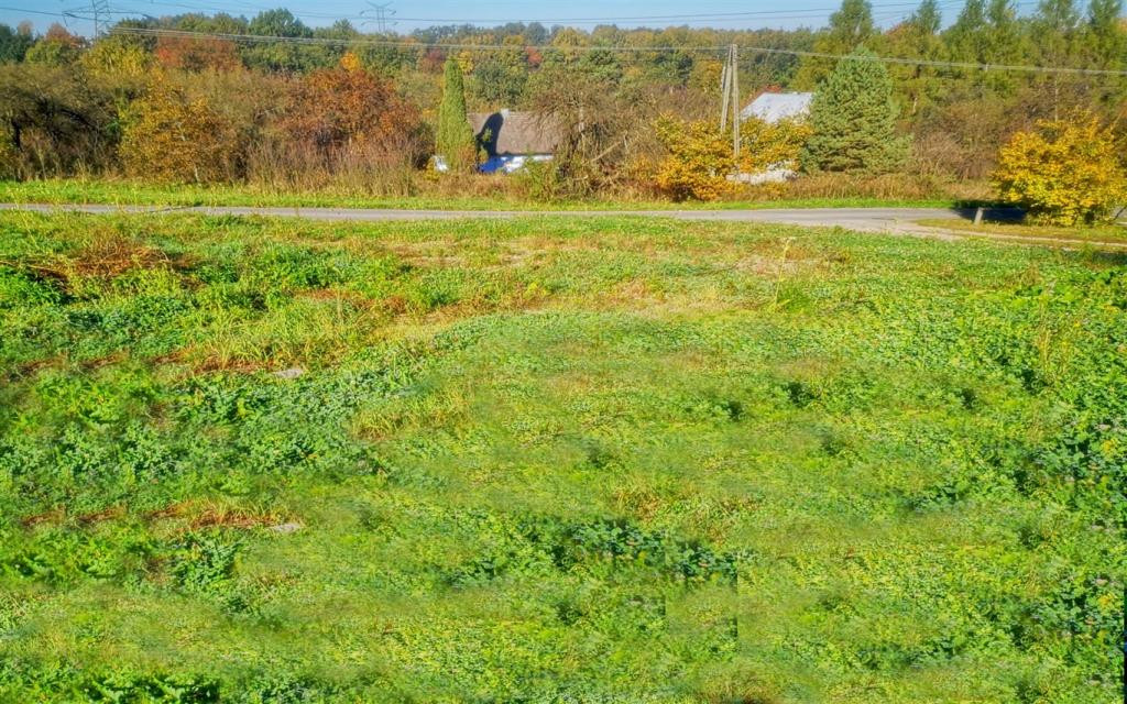 Słoneczna działka budowlana 9 ar Rzeszotary - Widok 3