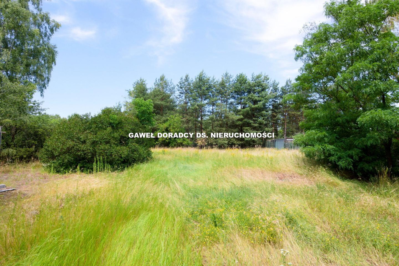 Dom – Słomczyn, Cieciszew - Widok 3