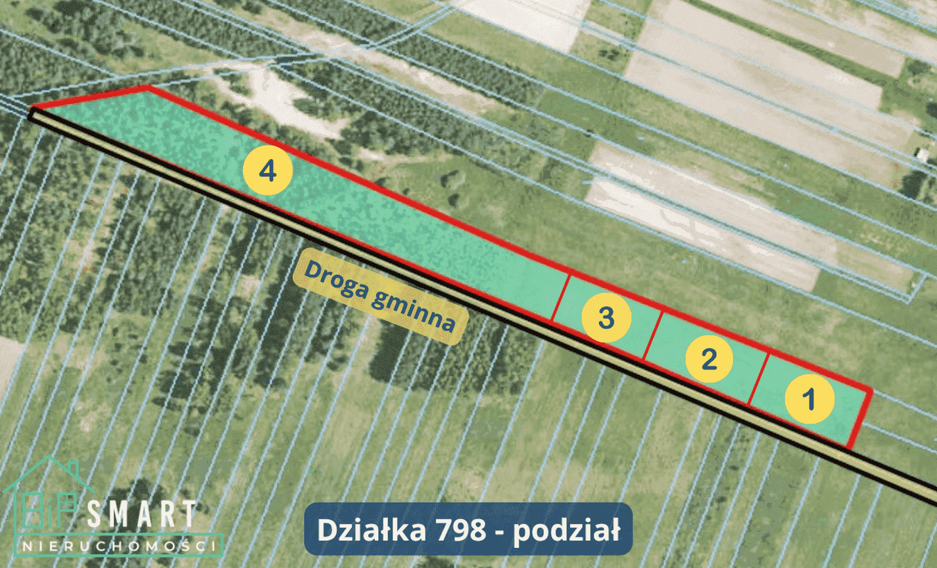 DZIAŁKA LEŚNA 7300 m² | CISÓW LAS | BOJANÓW - Widok 3