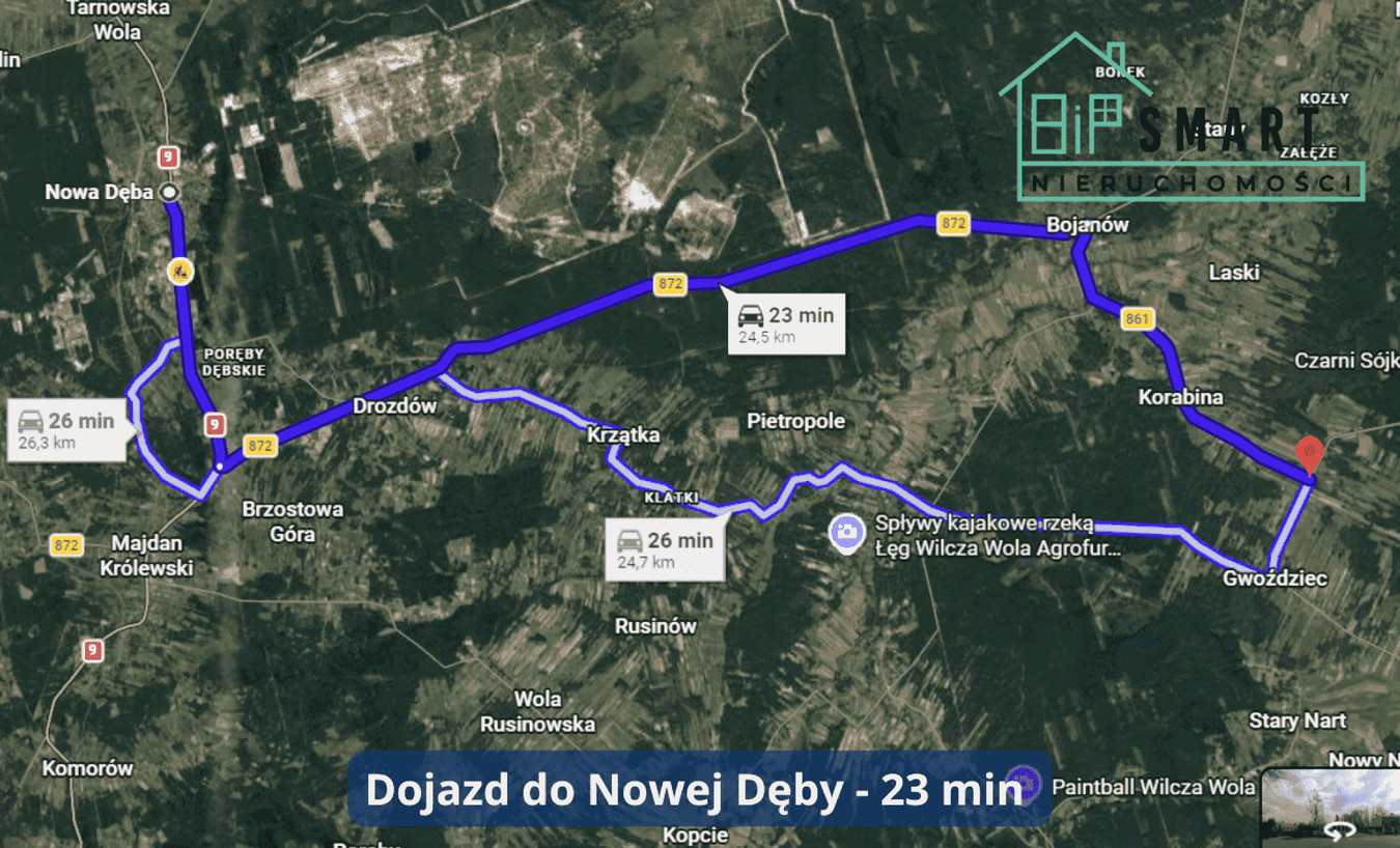 DZIAŁKA LEŚNA 7300 m² | CISÓW LAS | BOJANÓW - Widok 5