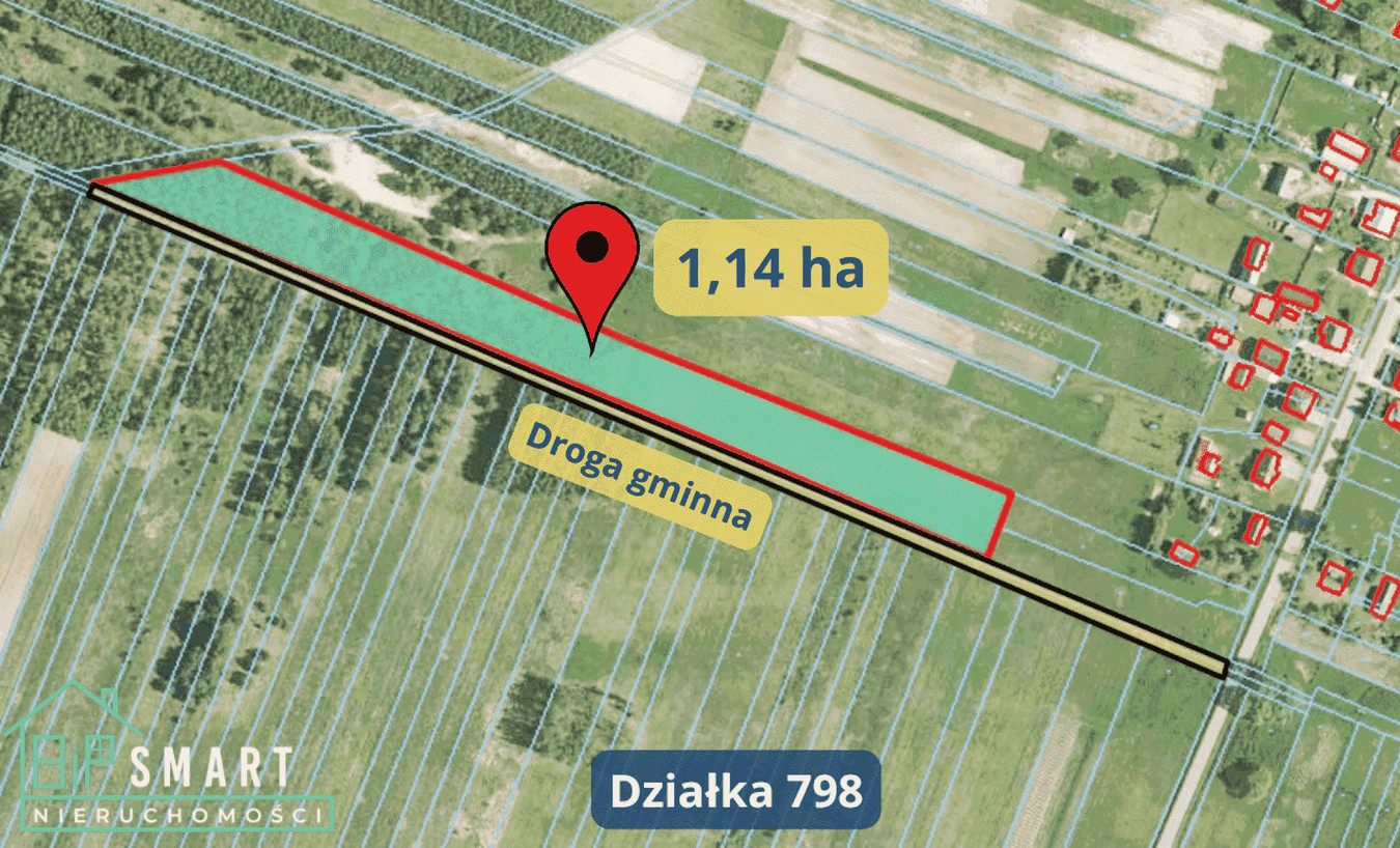 DZIAŁKA LEŚNA 7300 m² | CISÓW LAS | BOJANÓW - Widok 2