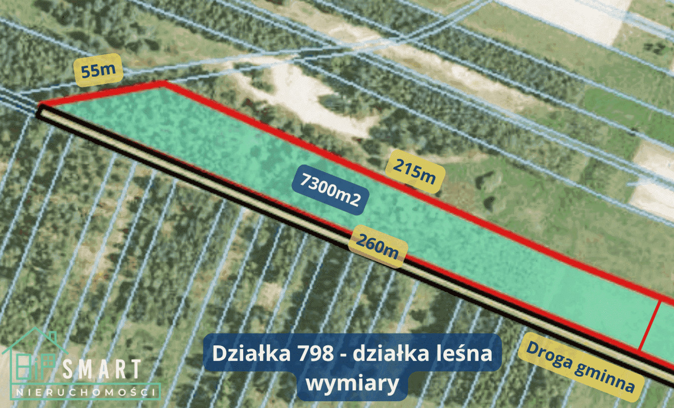 DZIAŁKA LEŚNA 7300 m² | CISÓW LAS | BOJANÓW - Widok 4