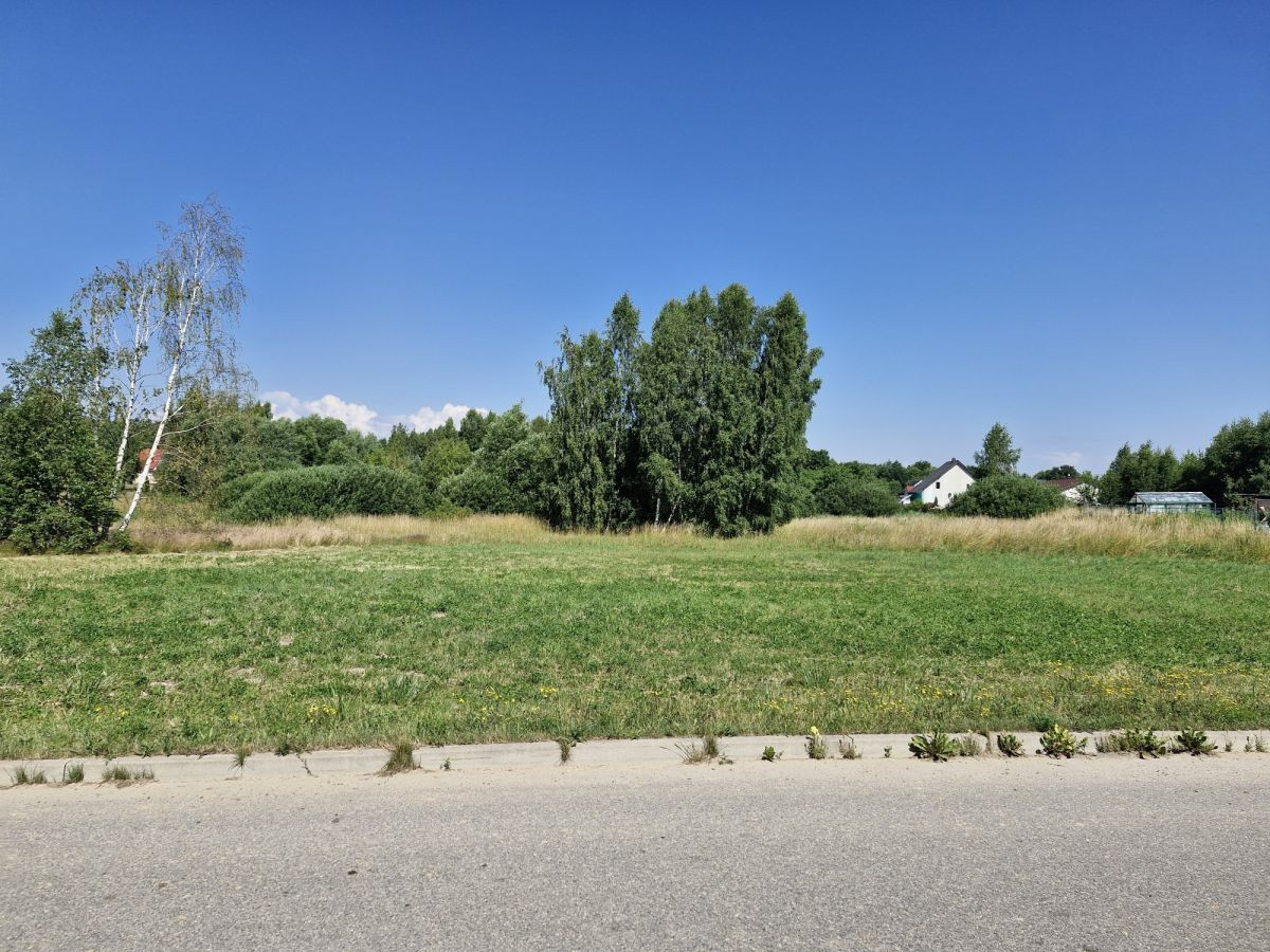 Duża działka ze stawem w Jagatowie - Widok 2