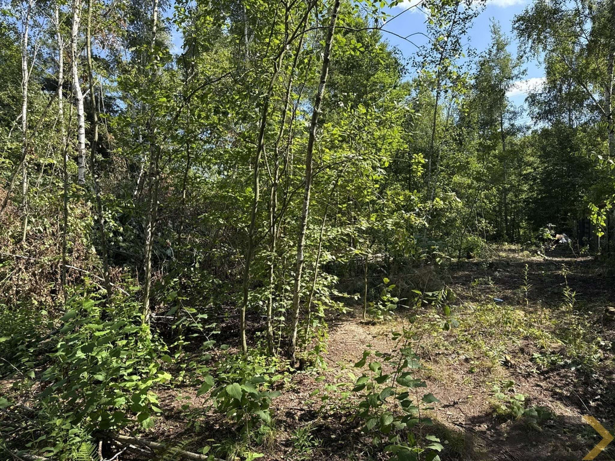 9 ar pod dom jednorodzinny, Borek Szlachecki - Widok 3