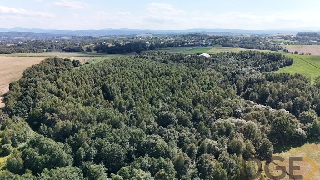 9 ar pod dom jednorodzinny, Borek Szlachecki - Widok 4