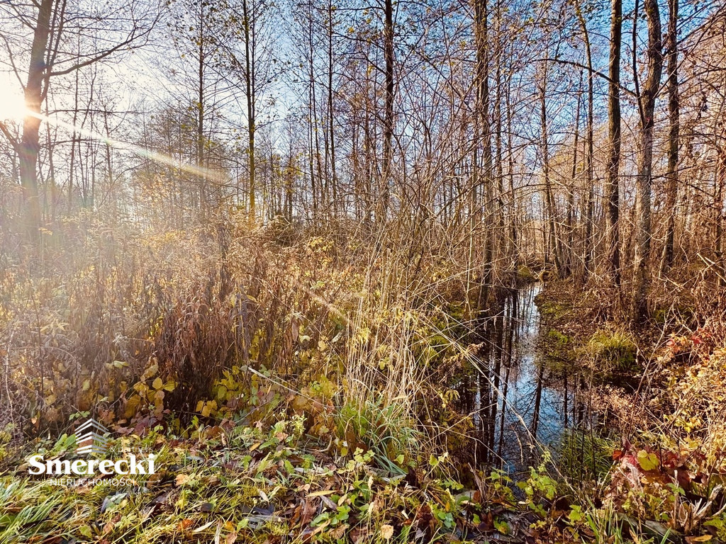 Działka nad \"Zalewem Zahorodyńskim\" - Widok 2