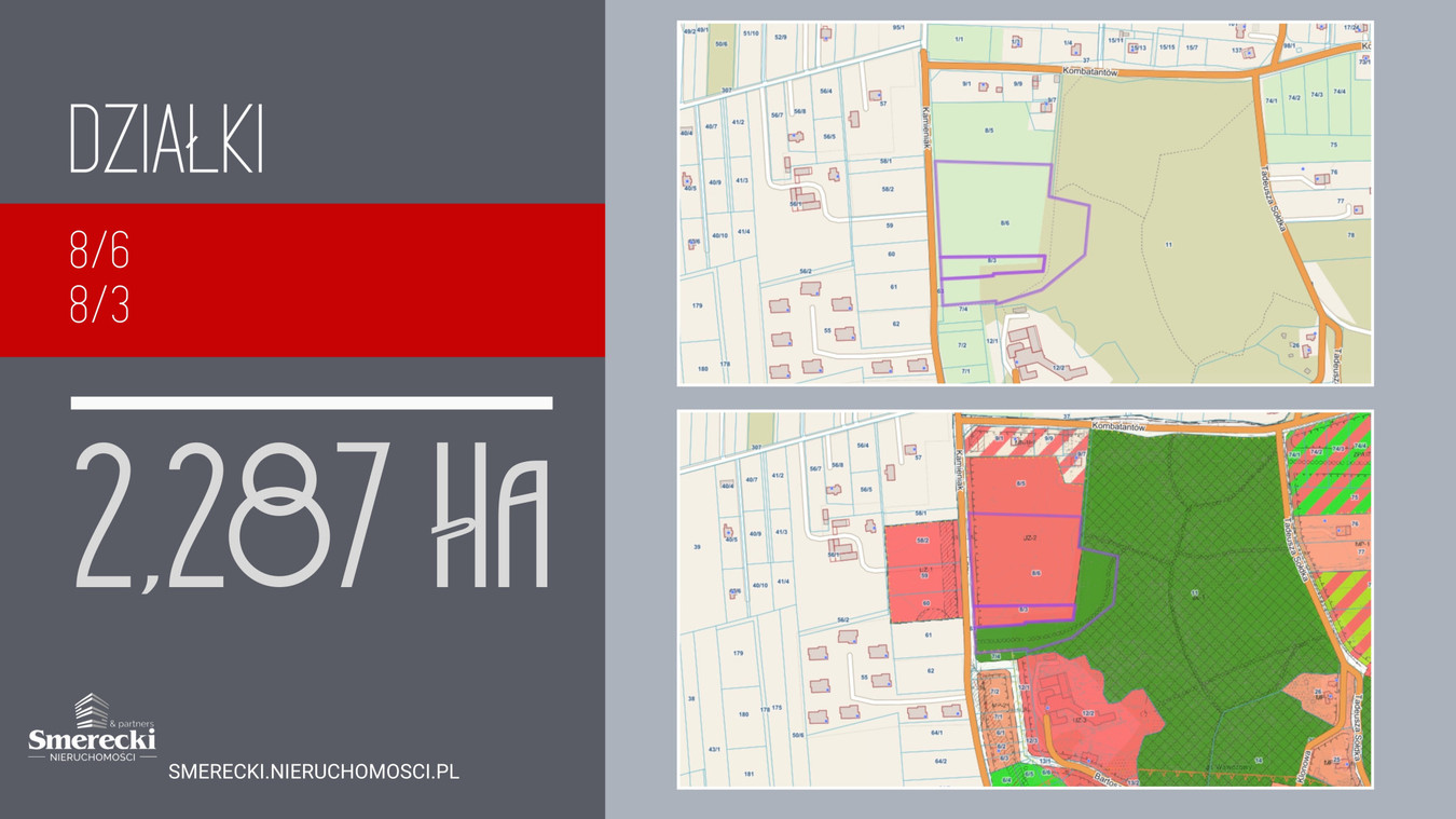 Ponad 2ha działka usługowa w Nałęczowie - Widok 3
