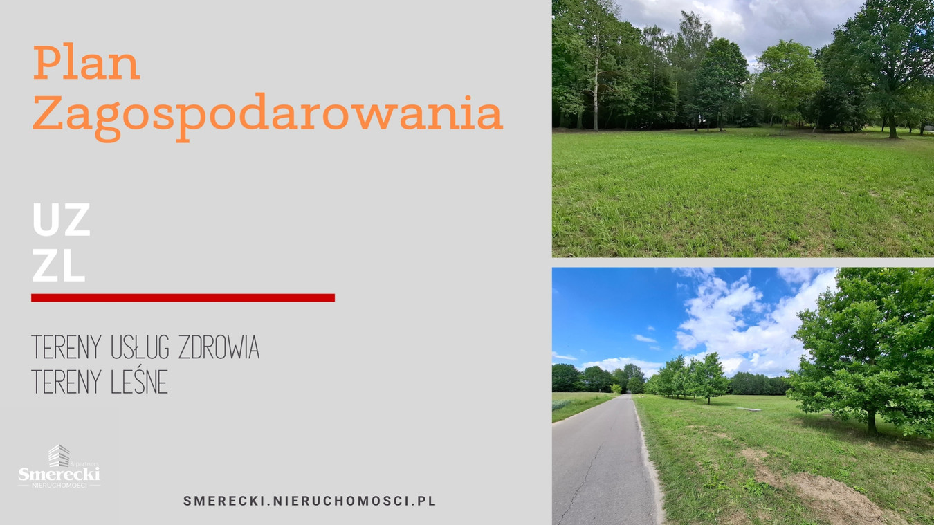 Ponad 2ha działka usługowa w Nałęczowie - Widok 5