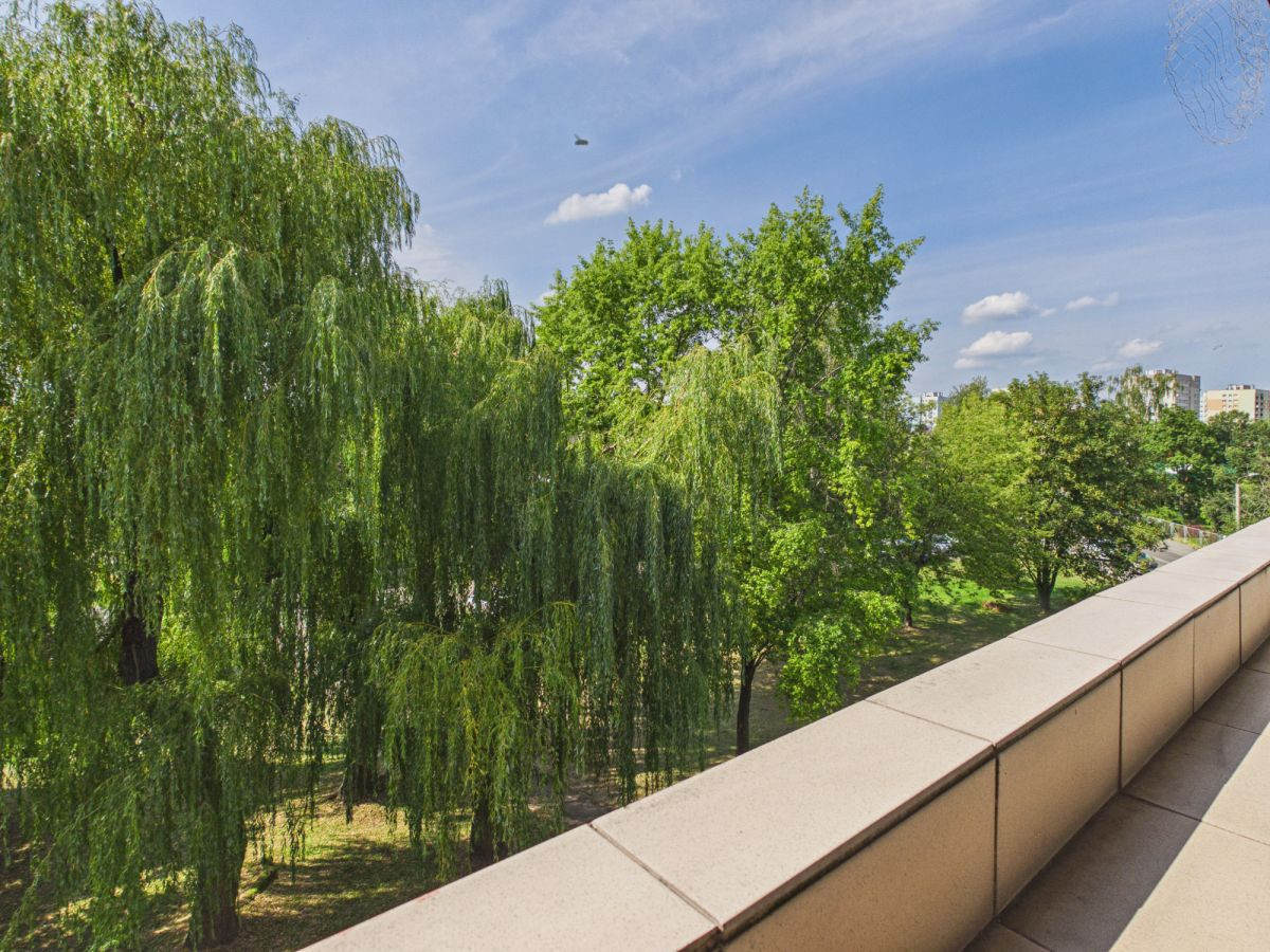Apartment in Chorzów - View 4