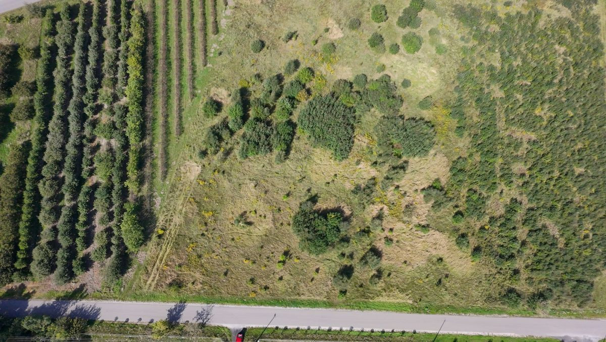 Działka siedliskowa 1,48 ha z WZ na dom – Kowiesy - Widok 2