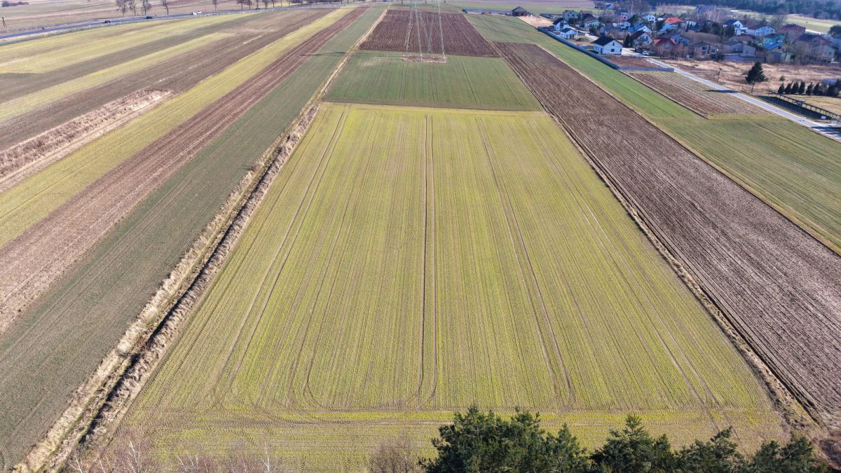 Duża działka w Opatowie - Widok 3