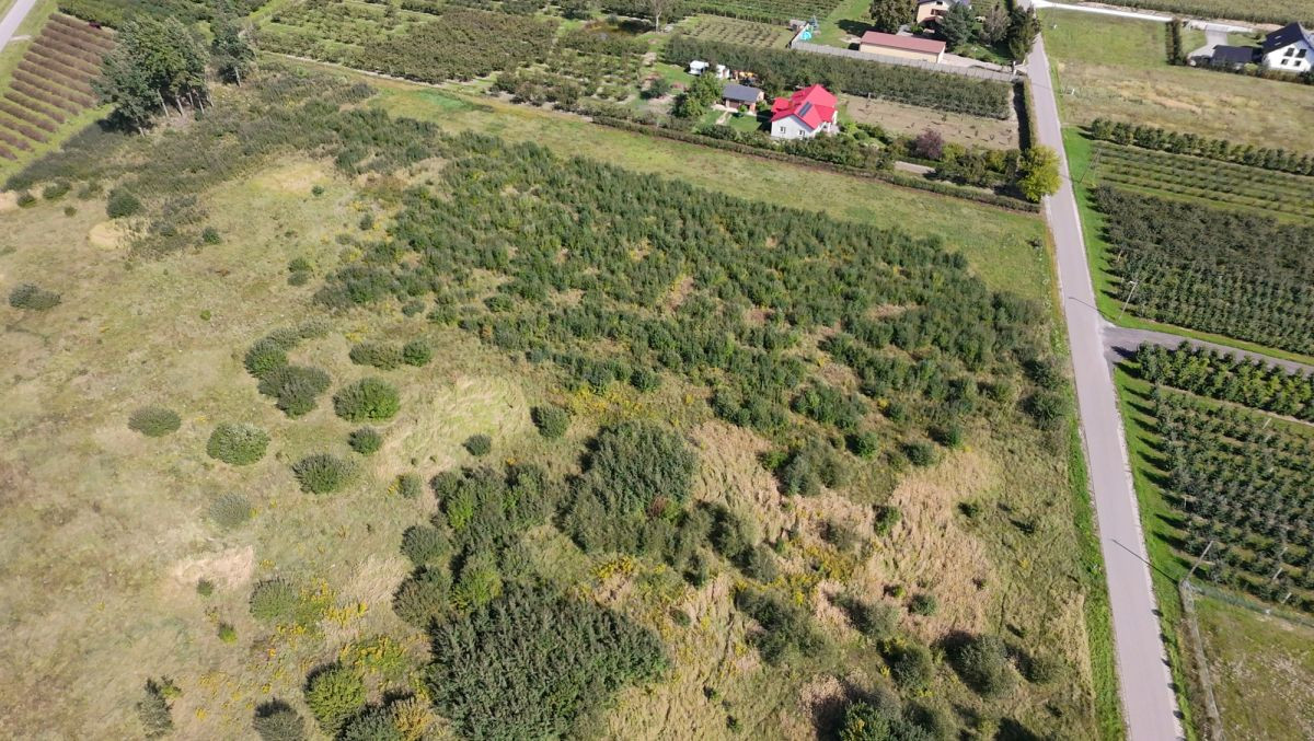 Działka siedliskowa 1,48 ha z WZ na dom – Kowiesy - Więcej