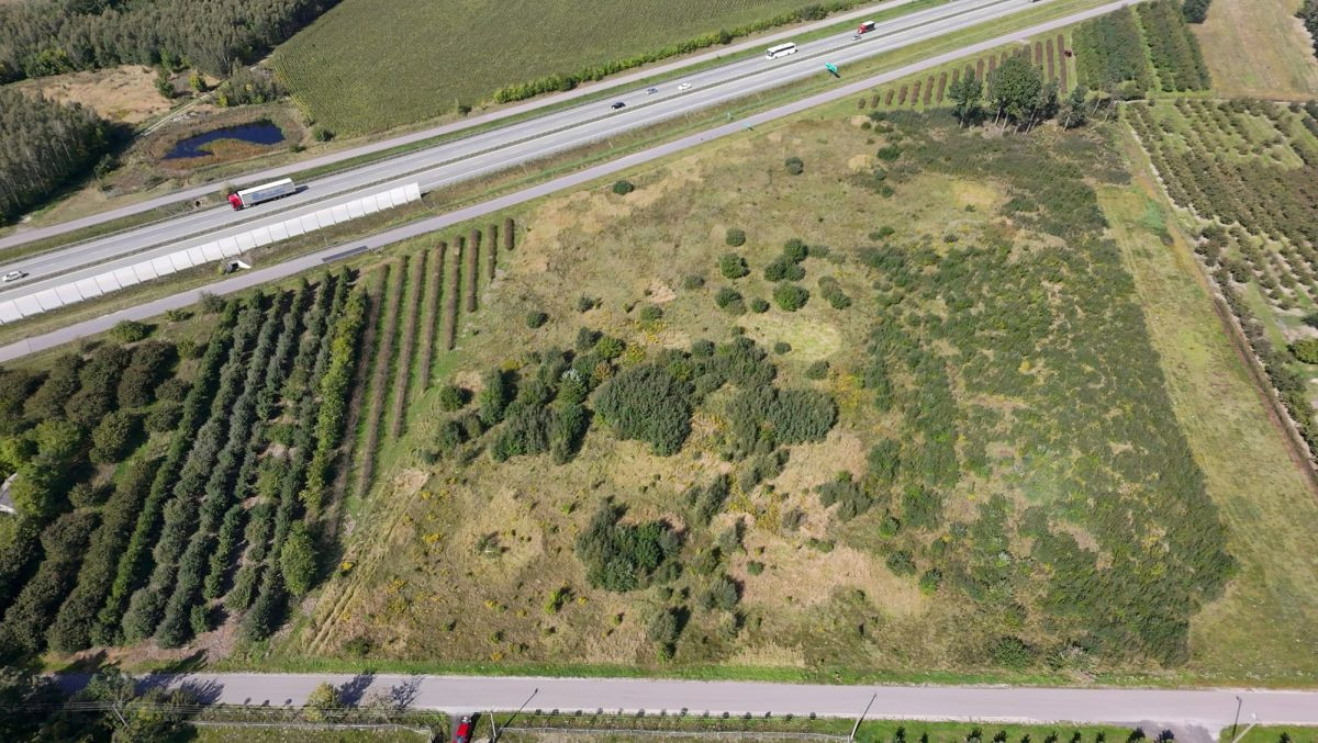 Działka siedliskowa 1,48 ha z WZ na dom – Kowiesy - Widok 4