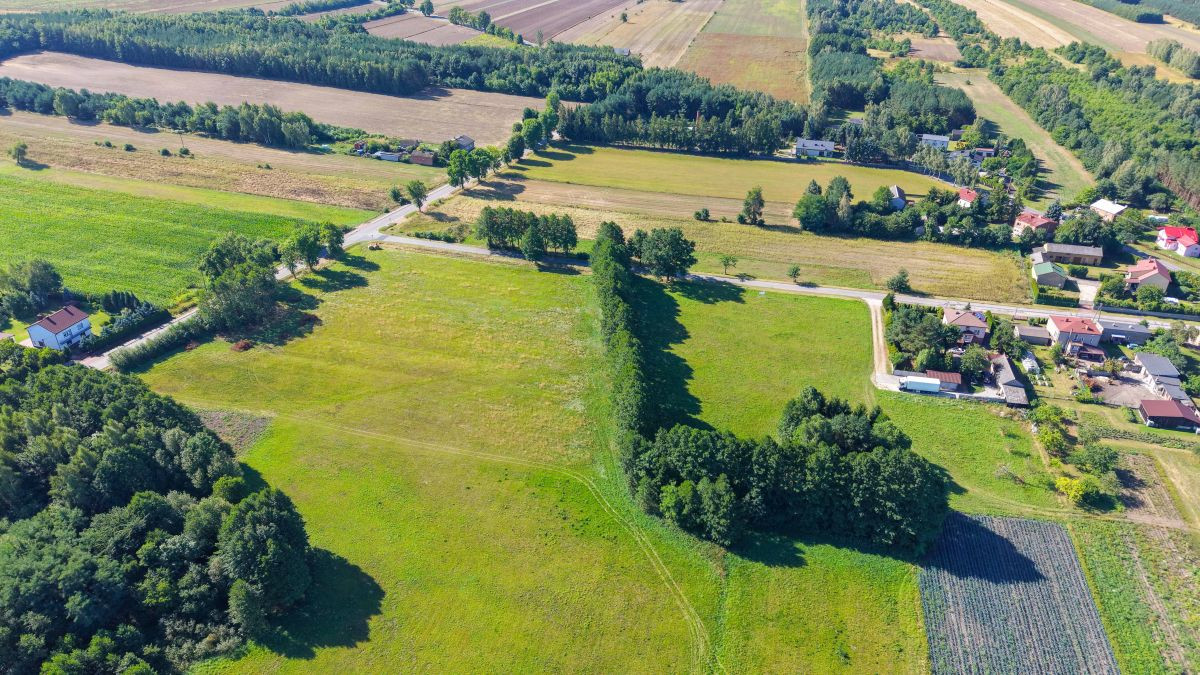 Budowlana 1116 m² pod dom jednorodzinny WZ - Widok 5