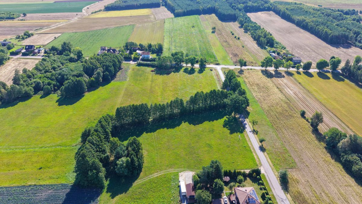 Budowlana 1116 m² pod dom jednorodzinny WZ - Widok 4