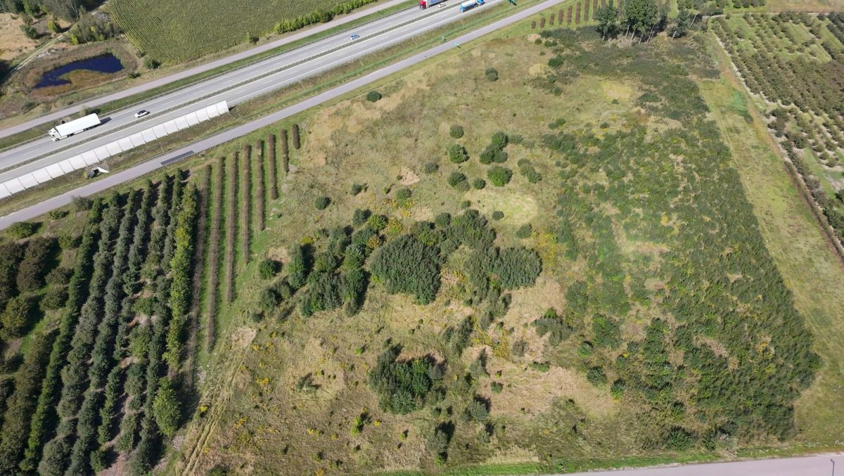 Działka siedliskowa 1,48 ha z WZ na dom – Kowiesy - Widok 3