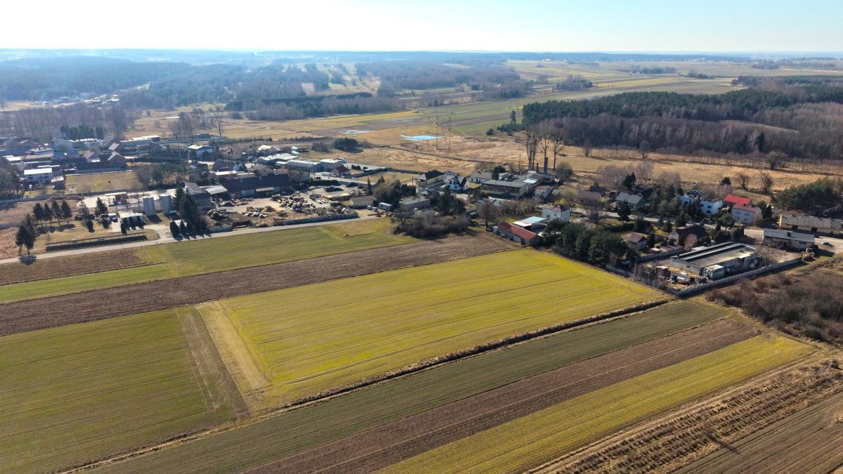 Duża działka w Opatowie - Widok 2