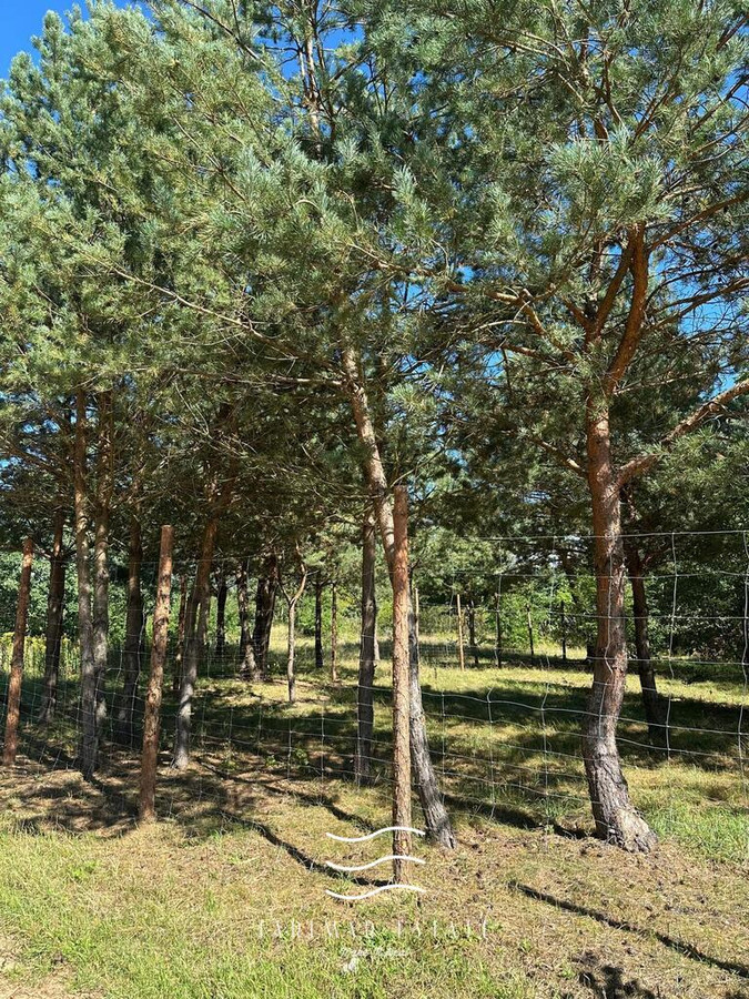 Sprzedam działkę budowlaną w Czosnowie - Widok 3