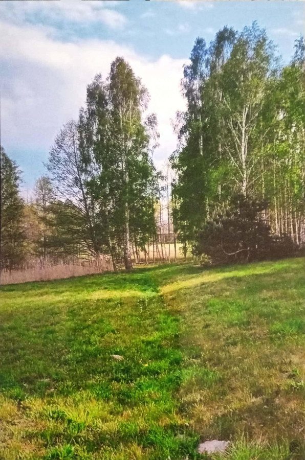 Działka na sprzedaż, 2500 m², Czerwonka Nowa - Widok 2