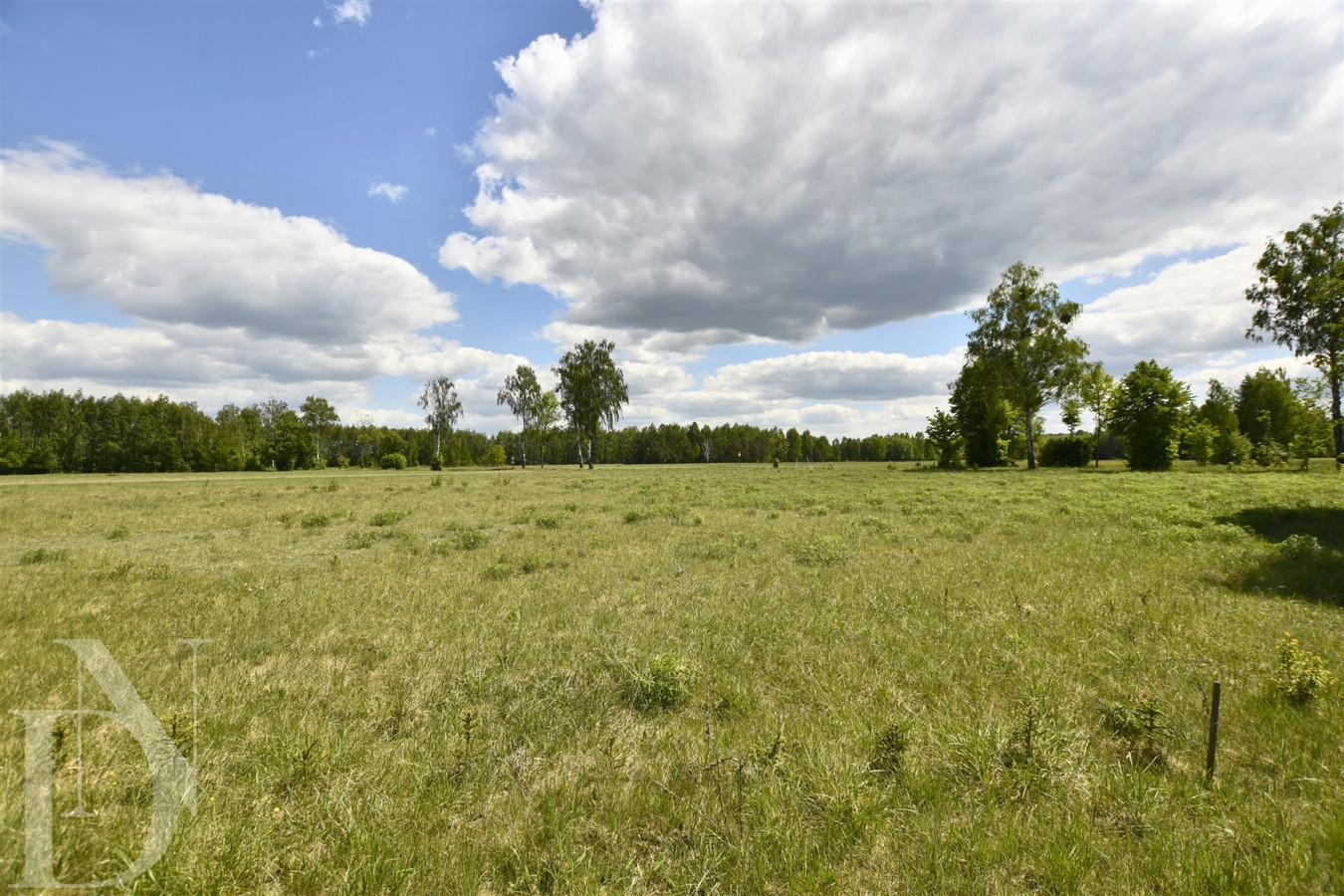 Działka budowlana 9661 m² | WZ + prąd w realizacji - Widok 2