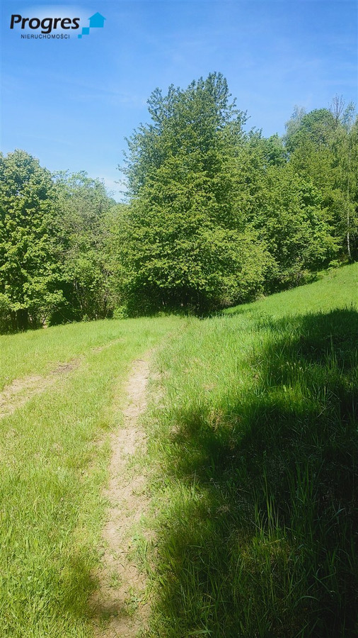 Działka otoczona lasem w Rycerce Dolnej - Widok 2