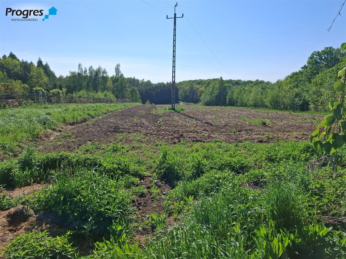 Działki budowlane w Malcu - Widok 3