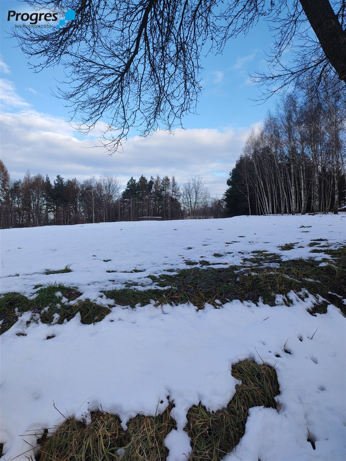 Działki w Jankowicach Rybnickich - Widok 3
