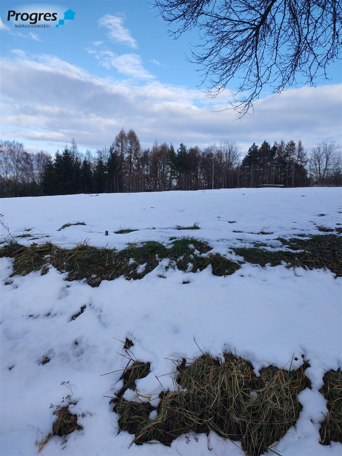 Działki w Jankowicach Rybnickich - Widok 4