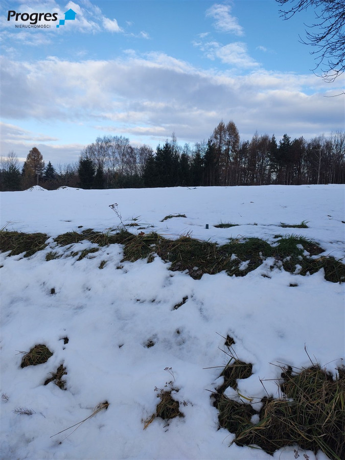 Działki w Jankowicach Rybnickich - Widok 2
