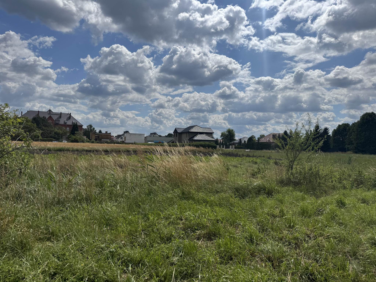 Działka Rolna ze Stawem - Widok 3