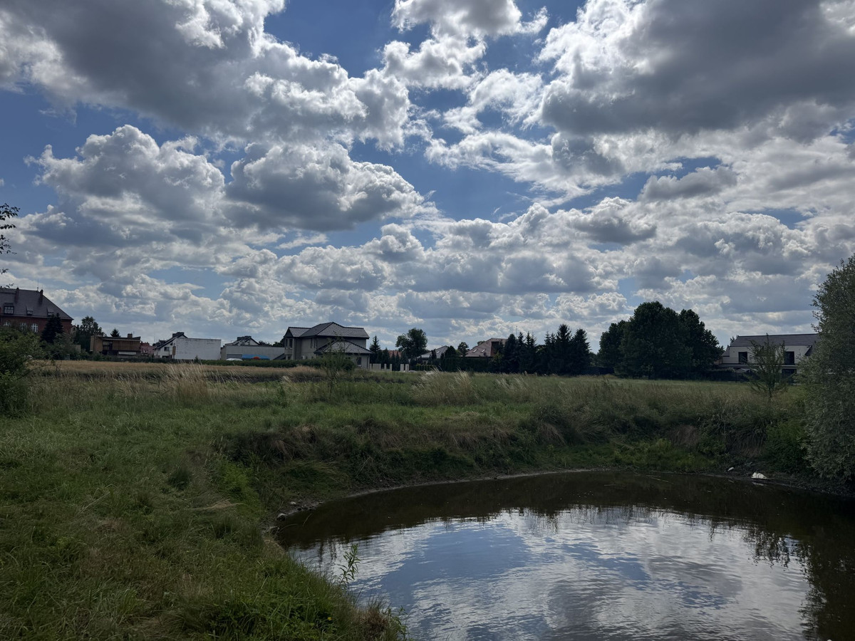 Działka Rolna ze Stawem - Widok 5