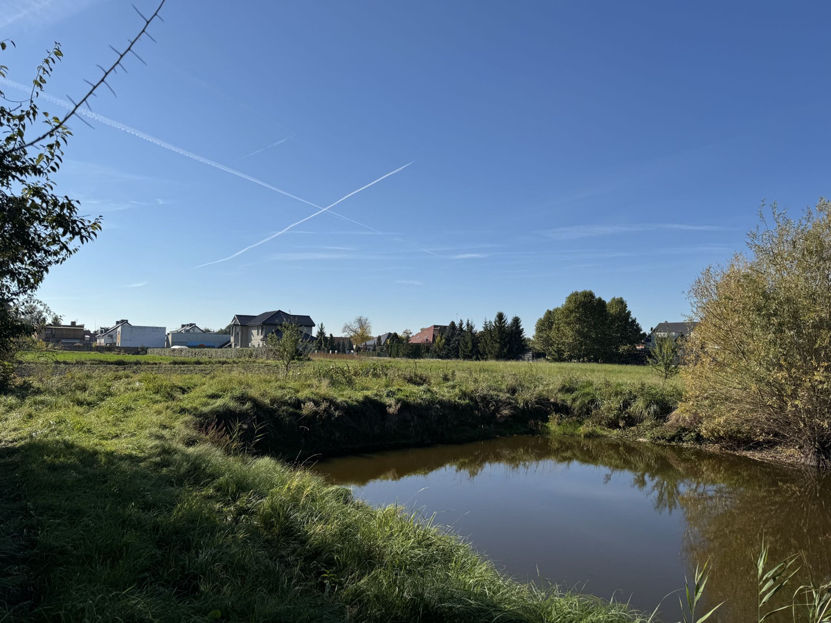Działka Rolna ze Stawem - Widok 4