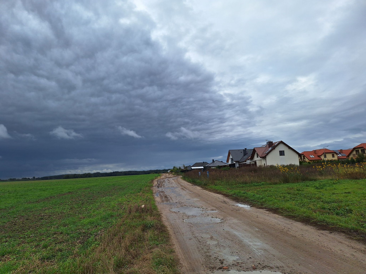 Atrakcyjna, duża działka budowlana w spokojnej okolicy Lusówka - Widok 3