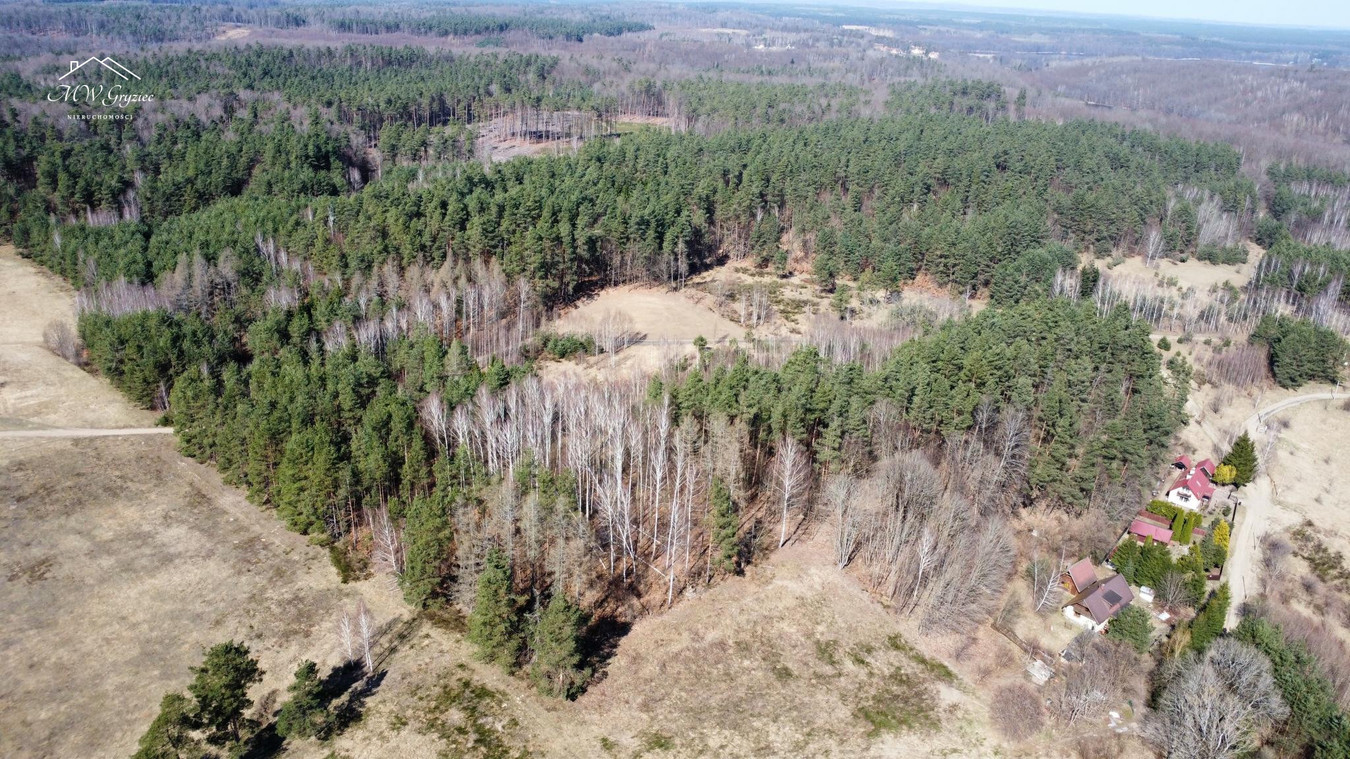 Mazury | 1,20 ha przy lesie i jeziorze | Rapaty gm. Gietrzwałd - Widok 4