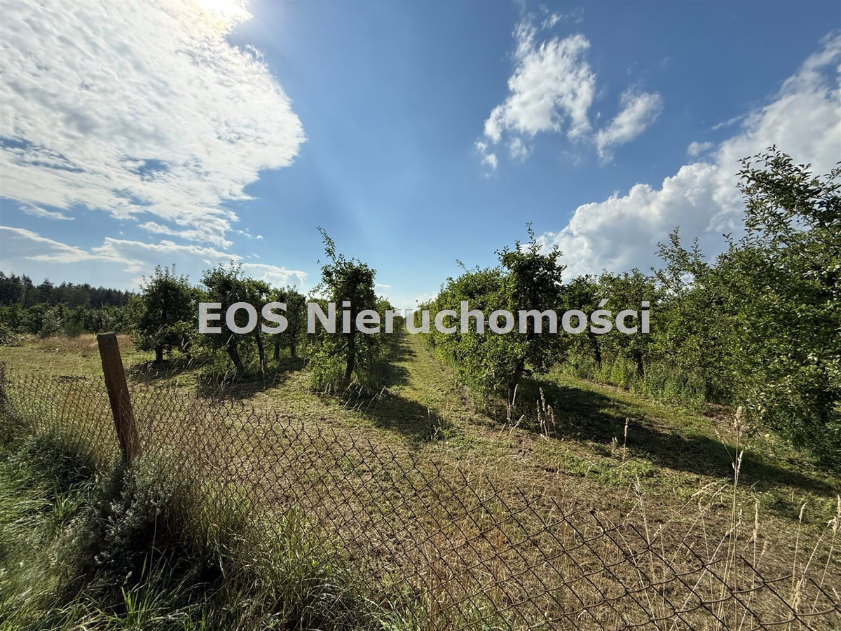 gratka-EPM-GS-2424 - Widok 3