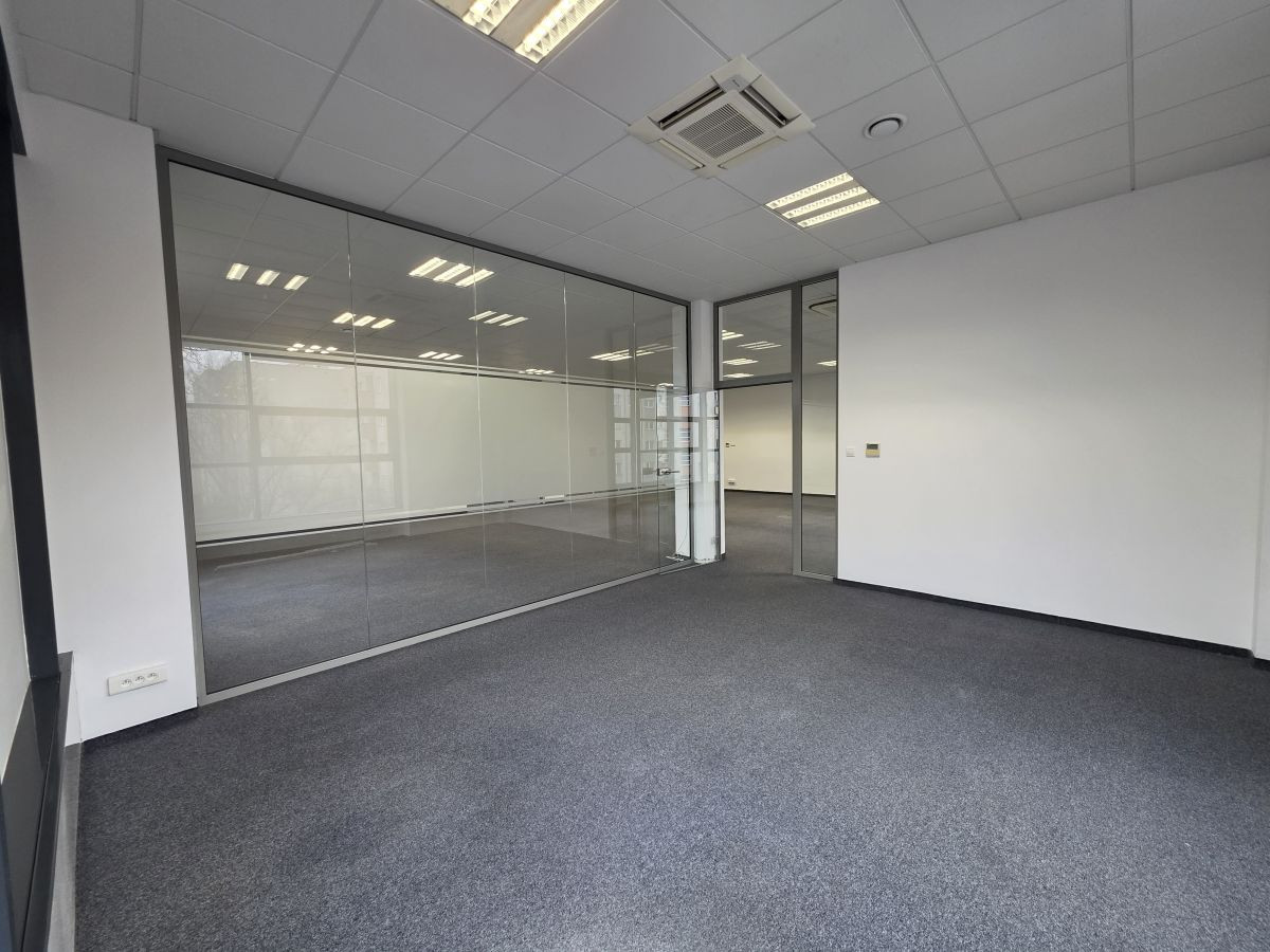 Do wynajęcia lokal o powierzchni 245,9 m² - Widok 6