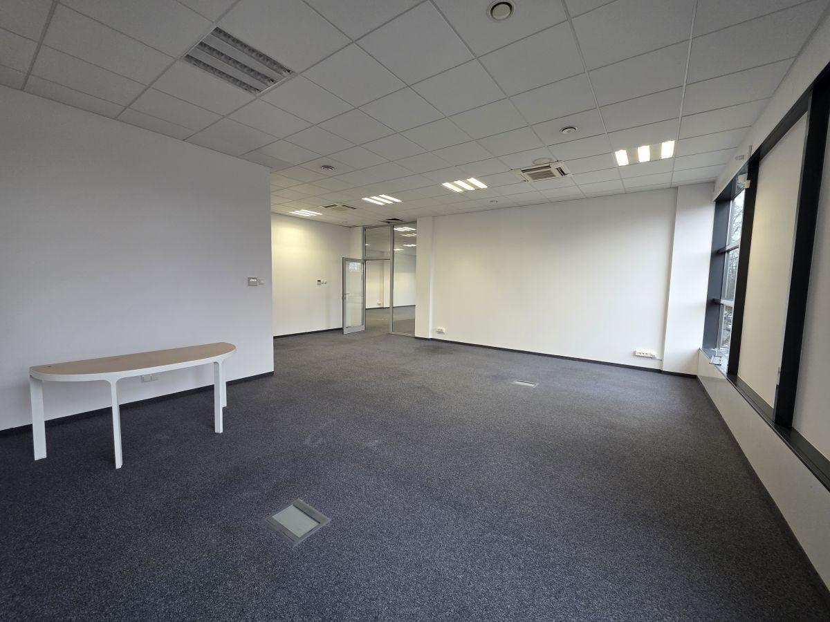 Do wynajęcia lokal o powierzchni 245,9 m² - Widok 4