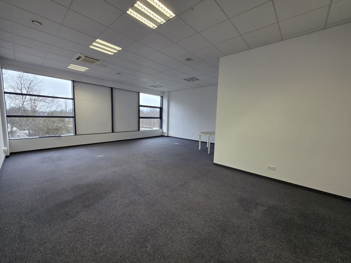 Do wynajęcia lokal o powierzchni 245,9 m² - Widok 3