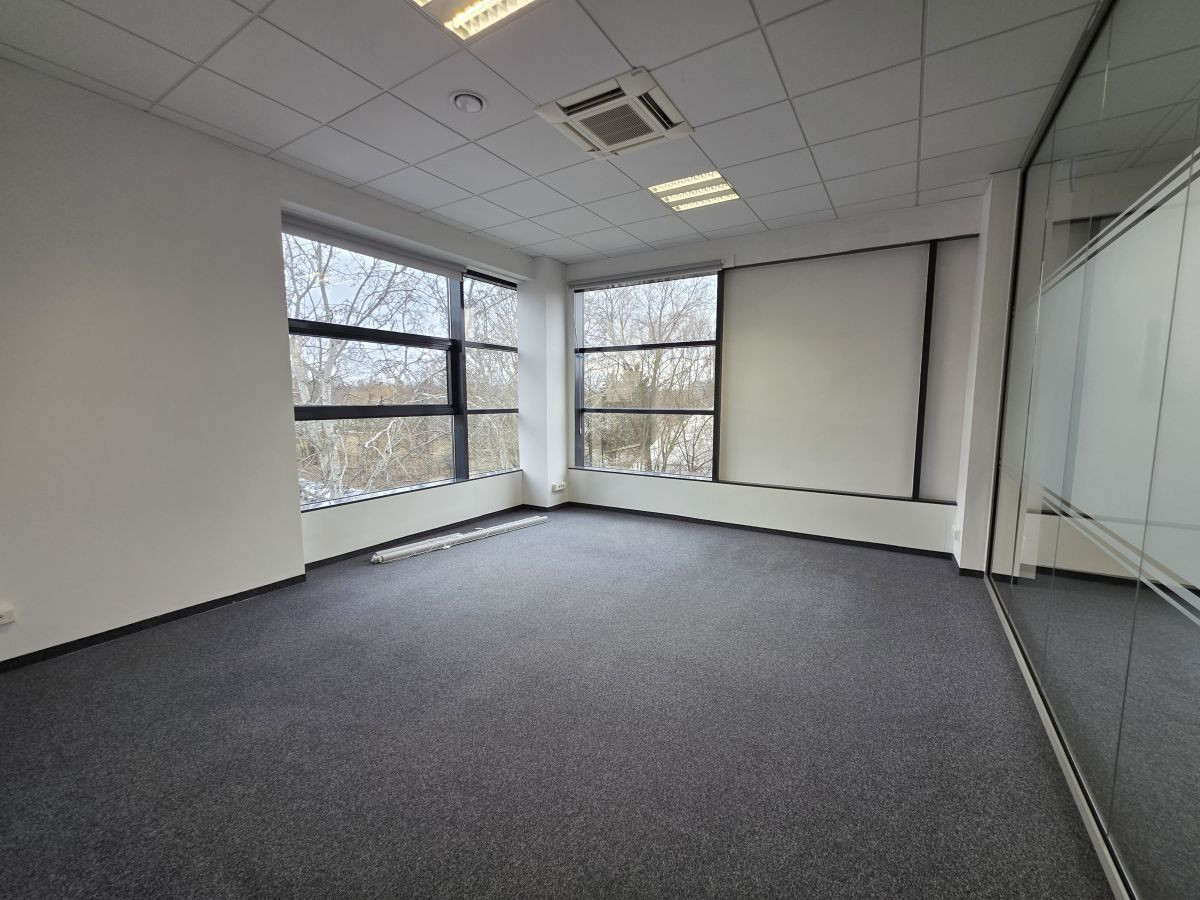 Do wynajęcia lokal o powierzchni 245,9 m² - Widok 5