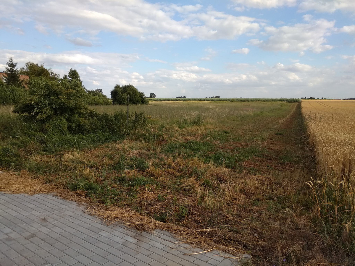 Nowa Wieś– Siedlisko 7559 m² z WZ i mediami! Bez KOWR, czysta KW Do negocjacji - Widok 2