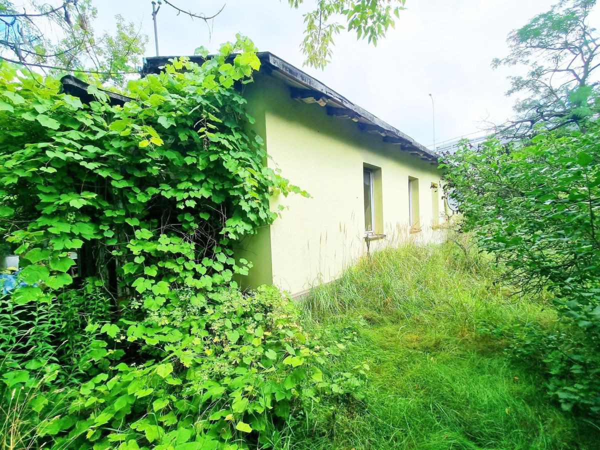 Dom parterowy + budynek gospodarczy - Widok 5