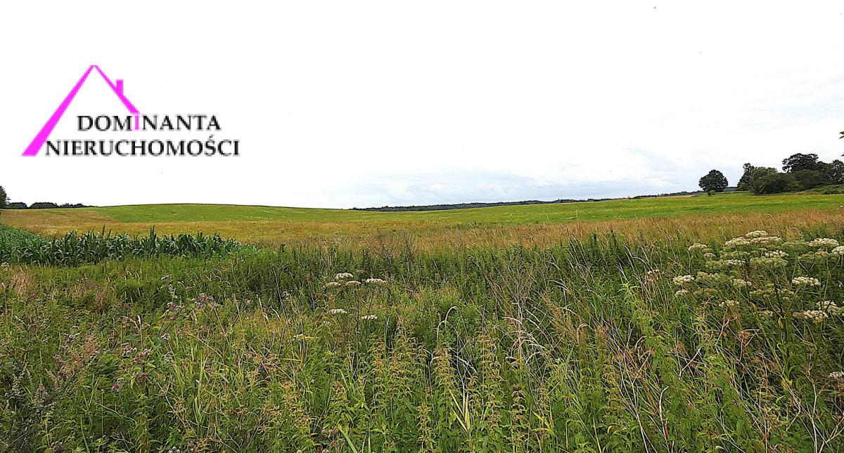 Działki rolne blisko lasu na Mazurach, 10 ha - Widok 3