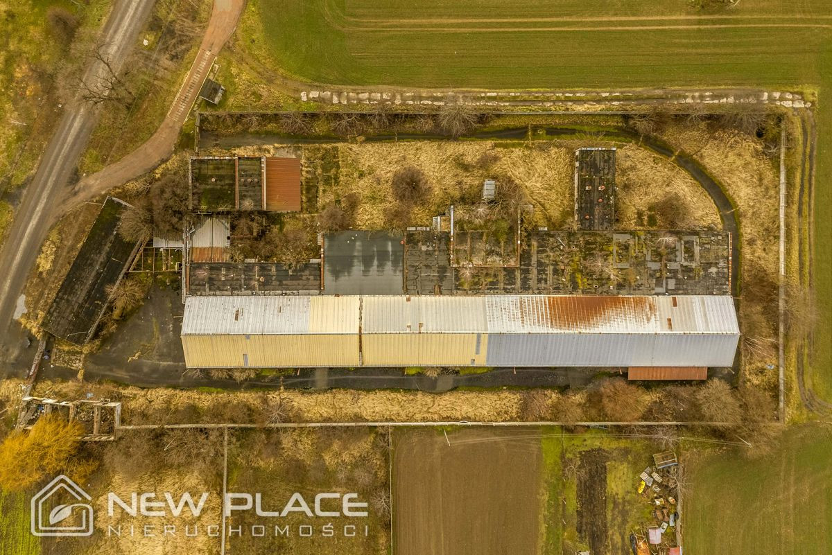 Pod usługi, produkcję, recykling, 8000 m², przy A4 - Więcej