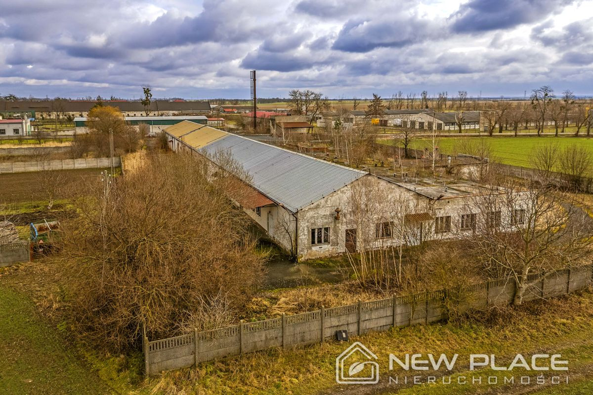Pod usługi, produkcję, recykling, 8000 m², przy A4 - Widok 5