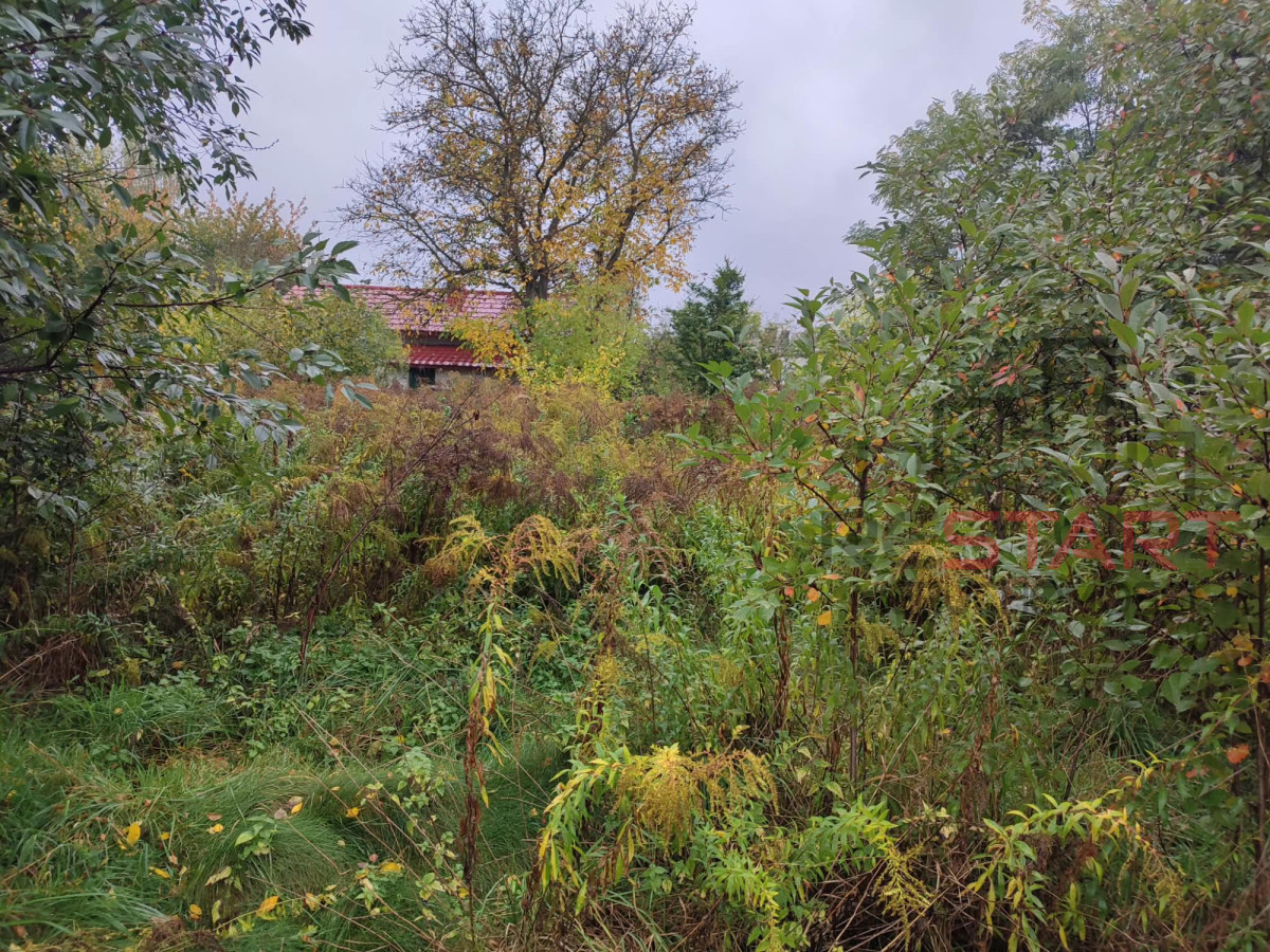 działka pod bliźniaki w Łosiu 3000 m² - Widok 3